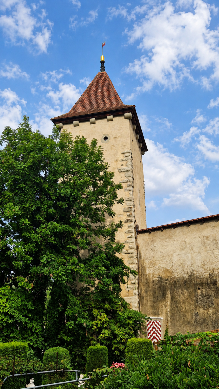 Entdecken Sie die Geschichte von Diebenturm und Waschhaus in Sursee Gefängnisturm, Hexenprozesse, Sure, Waschhaus und gelebte Tradition