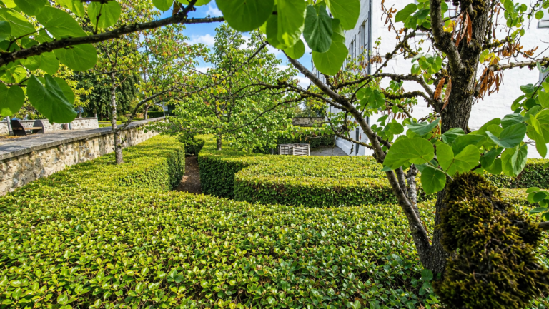 Manic, low hedges form a geometric garden maze beside a stone wall and white building under a blue sky with green trees above