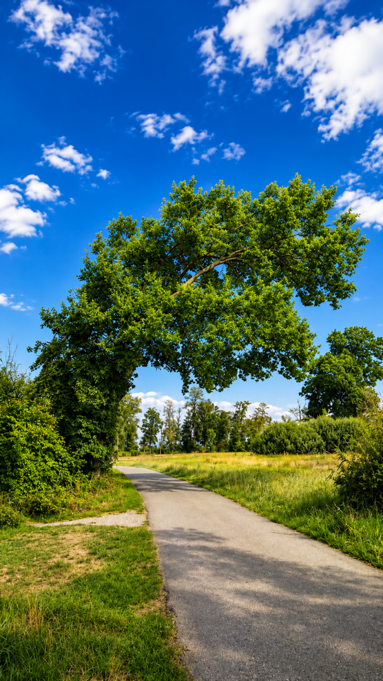 Sursee Halbinsel Archäologie Baum